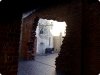 DSC01143_opt-2.jpg