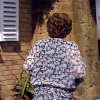 hyacinth 3.gif