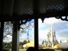 DSC08955.JPG