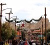 IMG_6330.jpg