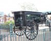 hearse at Haunted Mansion.jpg