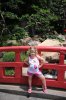IMG_7828(small).jpg