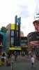 Cowfish1.jpg