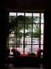 20150715_173644 (480x640).jpg
