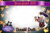 Donald Duck.jpg