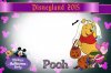 Winnie the Pooh.jpg