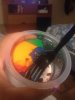 11657410_10204623589810343_1480321487_n.jpeg