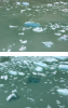 IMG_1451-composite.png