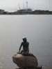 IMG_6758.jpeg
