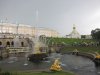 IMG_6951.jpeg