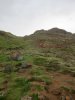 IMG_6530.jpeg