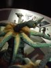 DSCF5754.JPG