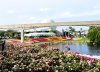 Epcot flowers.jpg