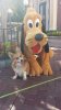 Pluto With Dog.jpg Pluto With Dog.jpg