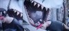 jaws.jpg