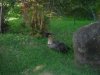 DSCF1726.JPG