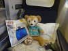 DSC03330.JPG