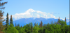 upload_2015-8-3_17-12-56.png