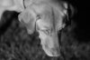 DSC_3380-small.jpg