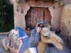 DSC03543.JPG