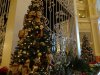 DSC03832.JPG