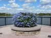 Img_0852.jpg