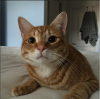 Theodore.PNG Theodore.PNG