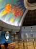 DSC03603.JPG