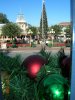 DSCN2836.jpg