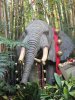 Jingle Cruise Elephant.jpg