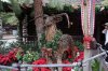 DSC05647 (1280x853).jpg