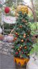 Pooh Tree.jpg