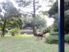 DSC03649.JPG
