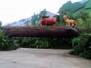 DSC08991.JPG
