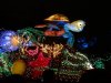 DSC03807.JPG