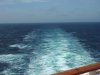 DSCN0960.JPG