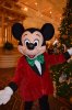 The Mouse.jpg