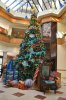 PPH Tree.JPG