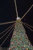 Olafs Skating Rink Tree.JPG