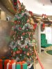 DSC02938small.jpg