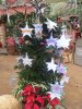 DSC03015 small.jpg