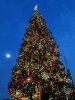 IMG_4325.jpg