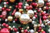 IMG_6358.jpg