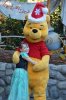 DSC_4591.JPG