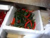 DSC03345.JPG
