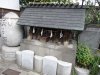 DSC03375.JPG