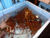 DSC03383.JPG
