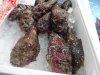 DSC03394.JPG