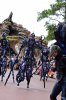 Festival of Fantasy.jpg