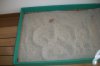 Service Animal Potty 2 - magic 2010 T2776 100_2636 1500.jpg